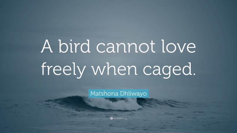 Matshona Dhliwayo Quote: “A bird cannot love freely when caged.”