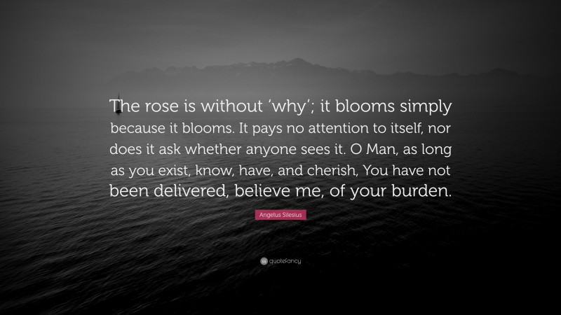 Angelus Silesius Quote: “The rose is without ‘why’; it blooms simply because it blooms. It pays no attention to itself, nor does it ask whether anyone sees it. O Man, as long as you exist, know, have, and cherish, You have not been delivered, believe me, of your burden.”