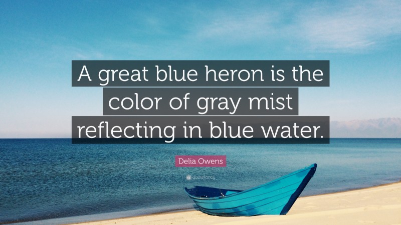 Delia Owens Quote: “A great blue heron is the color of gray mist reflecting in blue water.”