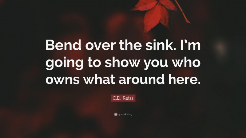 C.D. Reiss Quote: “Bend over the sink. I’m going to show you who owns what around here.”
