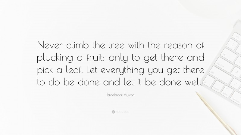 Israelmore Ayivor Quote: “Never climb the tree with the reason of plucking a fruit; only to get there and pick a leaf. Let everything you get there to do be done and let it be done well!”