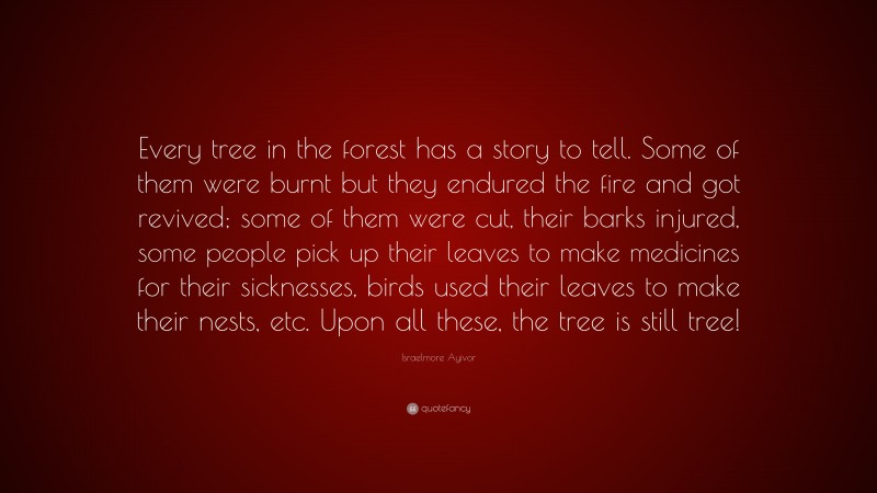 Israelmore Ayivor Quote: “Every tree in the forest has a story to tell. Some of them were burnt but they endured the fire and got revived; some of them were cut, their barks injured, some people pick up their leaves to make medicines for their sicknesses, birds used their leaves to make their nests, etc. Upon all these, the tree is still tree!”