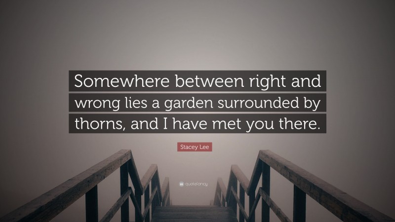 Stacey Lee Quote: “Somewhere between right and wrong lies a garden surrounded by thorns, and I have met you there.”