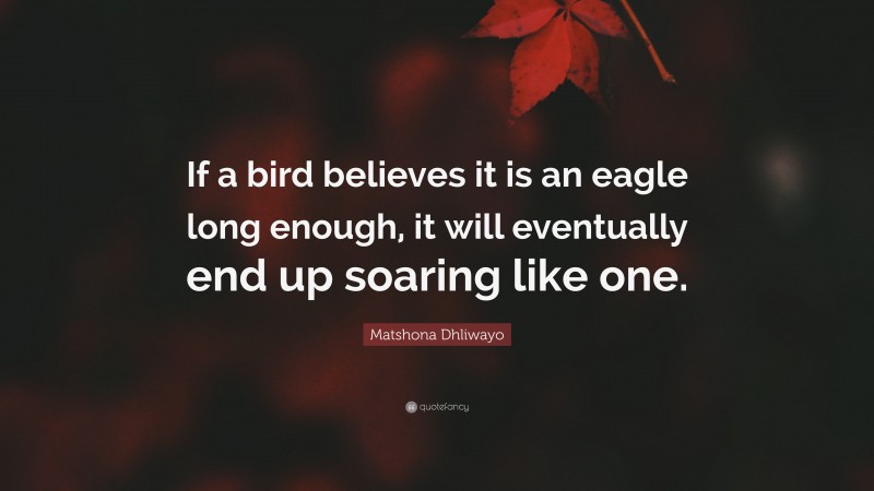 Matshona Dhliwayo Quote: “If a bird believes it is an eagle long enough, it will eventually end up soaring like one.”