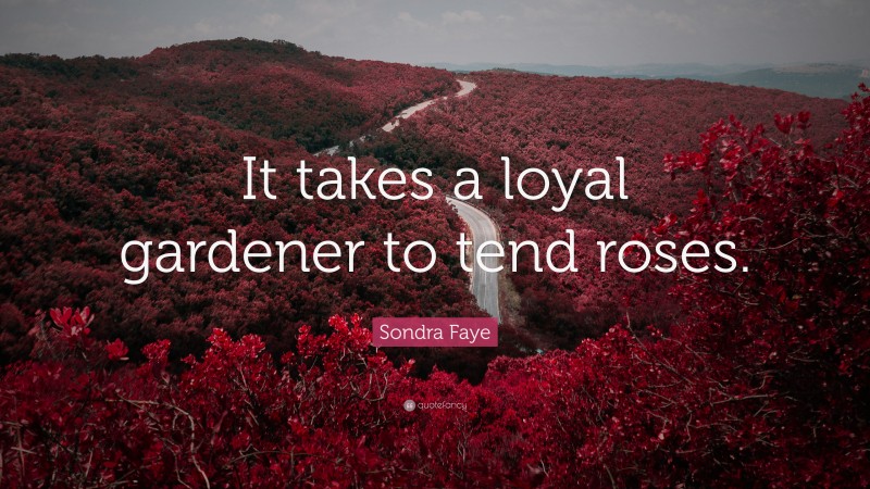 Sondra Faye Quote: “It takes a loyal gardener to tend roses.”