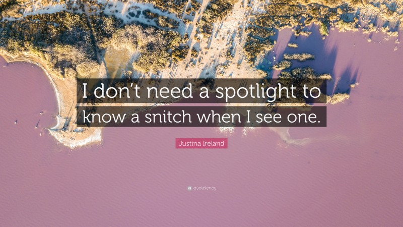 Justina Ireland Quote: “I don’t need a spotlight to know a snitch when I see one.”