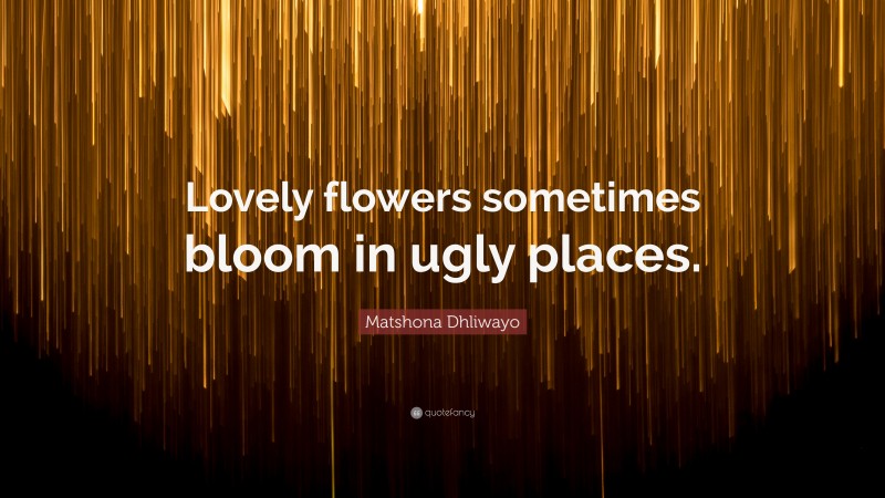 Matshona Dhliwayo Quote: “Lovely flowers sometimes bloom in ugly places.”