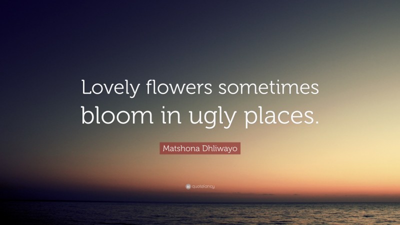 Matshona Dhliwayo Quote: “Lovely flowers sometimes bloom in ugly places.”