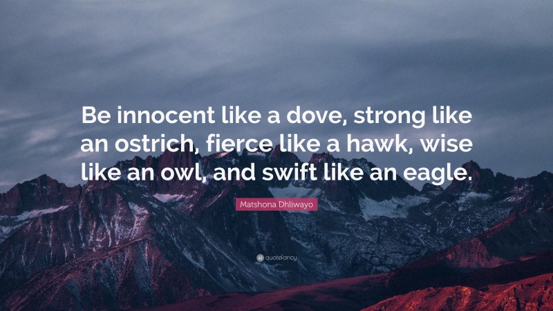 Matshona Dhliwayo Quote: “Be innocent like a dove, strong like an ostrich, fierce like a hawk, wise like an owl, and swift like an eagle.”