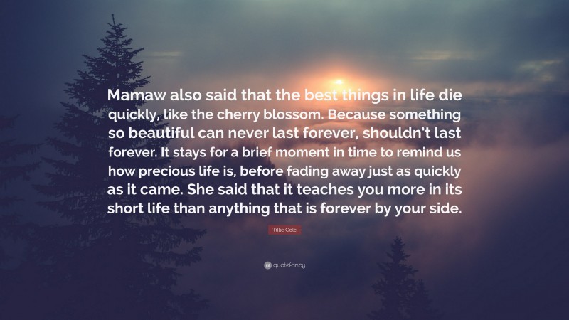 Tillie Cole Quote: “Mamaw also said that the best things in life die quickly, like the cherry blossom. Because something so beautiful can never last forever, shouldn’t last forever. It stays for a brief moment in time to remind us how precious life is, before fading away just as quickly as it came. She said that it teaches you more in its short life than anything that is forever by your side.”