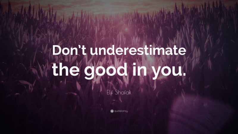 Elif Shafak Quote: “Don’t underestimate the good in you.”
