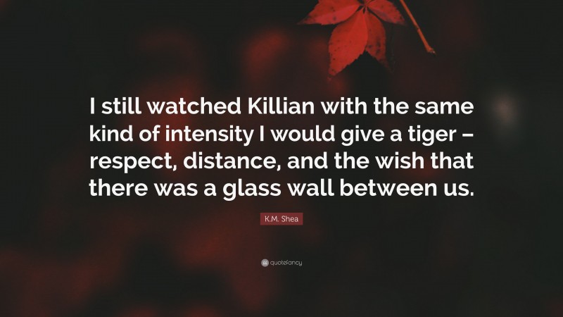 K.M. Shea Quote: “I still watched Killian with the same kind of intensity I would give a tiger – respect, distance, and the wish that there was a glass wall between us.”