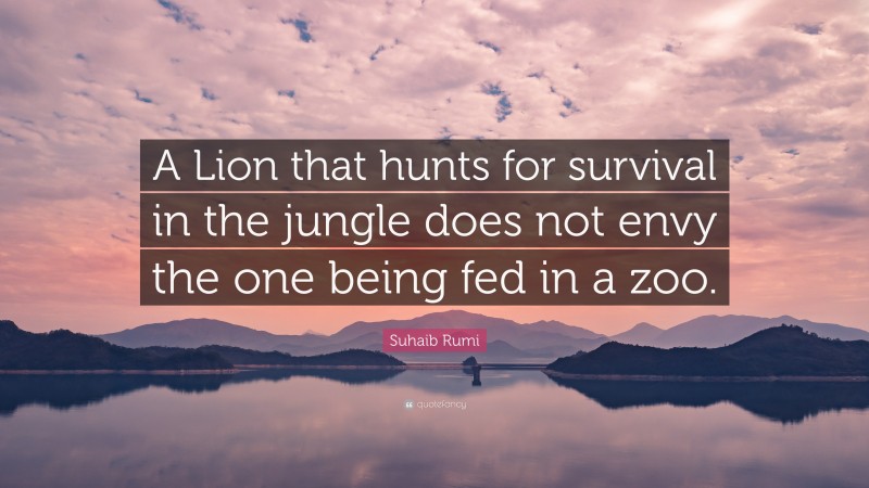 Suhaib Rumi Quote: “A Lion that hunts for survival in the jungle does not envy the one being fed in a zoo.”