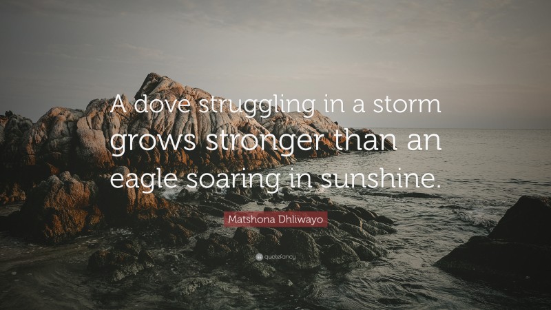 Matshona Dhliwayo Quote: “A dove struggling in a storm grows stronger than an eagle soaring in sunshine.”