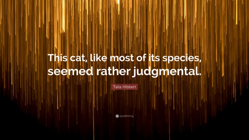 Talia Hibbert Quote: “This cat, like most of its species, seemed rather judgmental.”