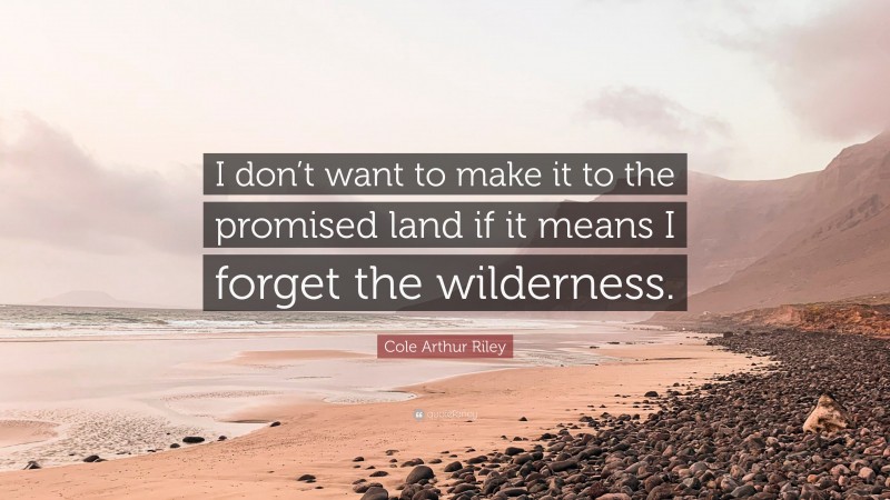 Cole Arthur Riley Quote: “I don’t want to make it to the promised land if it means I forget the wilderness.”