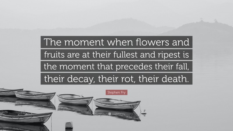 Stephen Fry Quote: “The moment when flowers and fruits are at their fullest and ripest is the moment that precedes their fall, their decay, their rot, their death.”