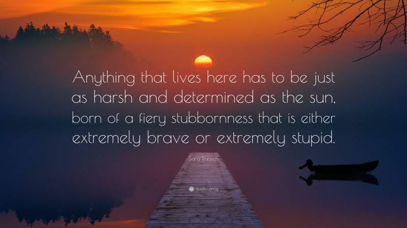 Sara Raasch Quote: “Anything that lives here has to be just as harsh and determined as the sun, born of a fiery stubbornness that is either extremely brave or extremely stupid.”