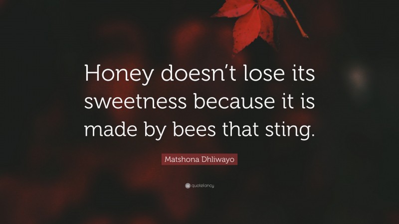 Matshona Dhliwayo Quote: “Honey doesn’t lose its sweetness because it is made by bees that sting.”
