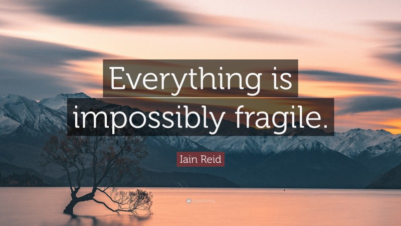Iain Reid Quote: “Everything is impossibly fragile.”