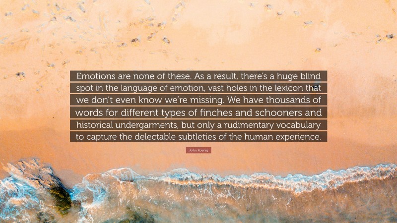 John Koenig Quote: “Emotions are none of these. As a result, there’s a huge blind spot in the language of emotion, vast holes in the lexicon that we don’t even know we’re missing. We have thousands of words for different types of finches and schooners and historical undergarments, but only a rudimentary vocabulary to capture the delectable subtleties of the human experience.”