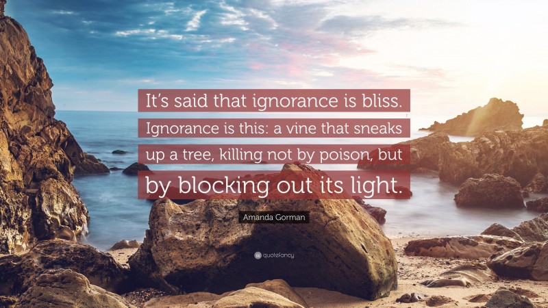 Amanda Gorman Quote: “It’s said that ignorance is bliss. Ignorance is this: a vine that sneaks up a tree, killing not by poison, but by blocking out its light.”