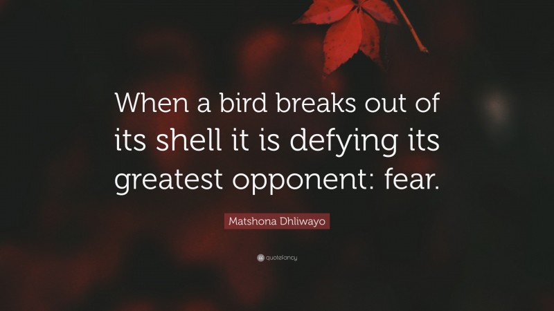 Matshona Dhliwayo Quote: “When a bird breaks out of its shell it is defying its greatest opponent: fear.”