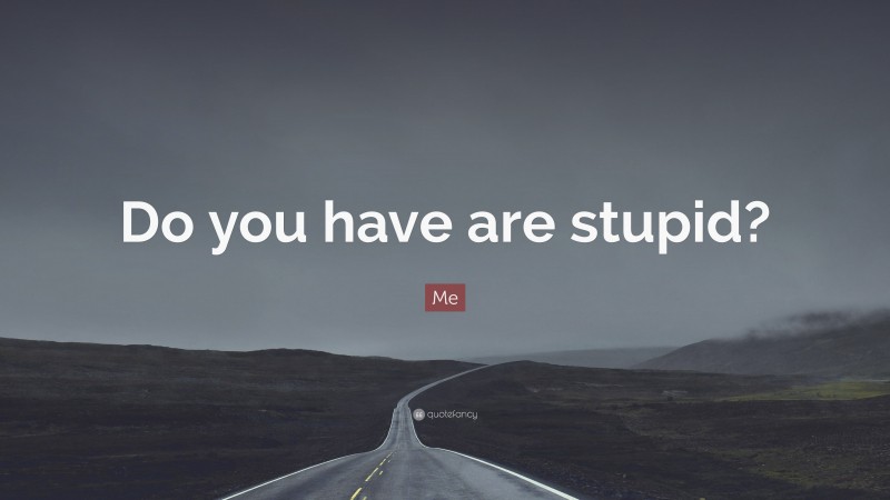 Me Quote: “Do you have are stupid?”