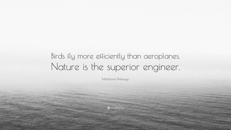 Matshona Dhliwayo Quote: “Birds fly more efficiently than aeroplanes. Nature is the superior engineer.”