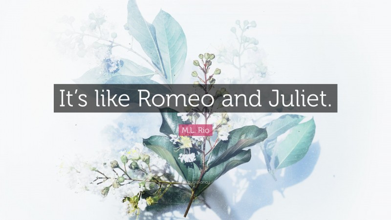 M.L. Rio Quote: “It’s like Romeo and Juliet.”