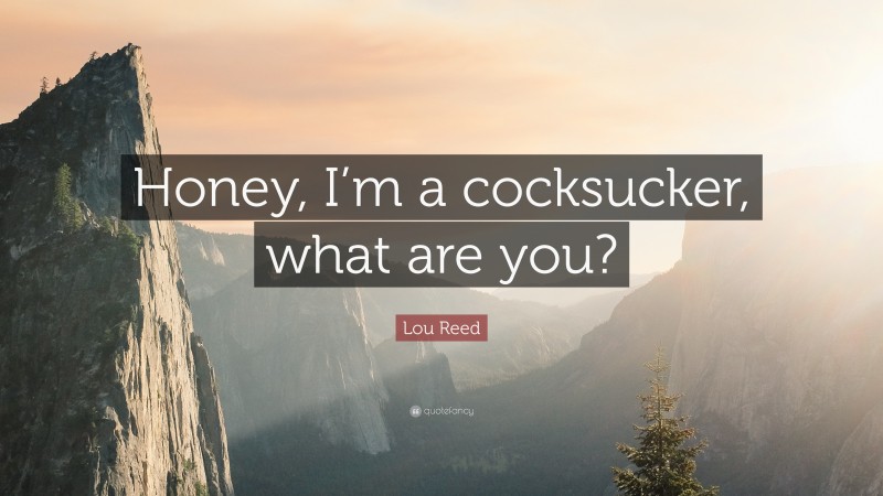 Lou Reed Quote: “Honey, I’m a cocksucker, what are you?”