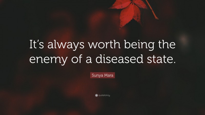 Sunya Mara Quote: “It’s always worth being the enemy of a diseased state.”