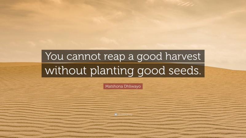 Matshona Dhliwayo Quote: “You cannot reap a good harvest without planting good seeds.”