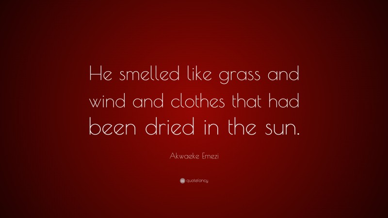 Akwaeke Emezi Quote: “He smelled like grass and wind and clothes that had been dried in the sun.”