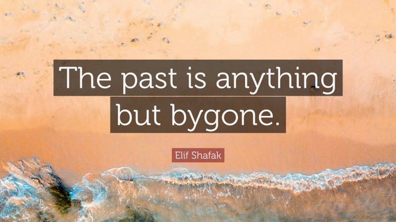 Elif Shafak Quote: “The past is anything but bygone.”