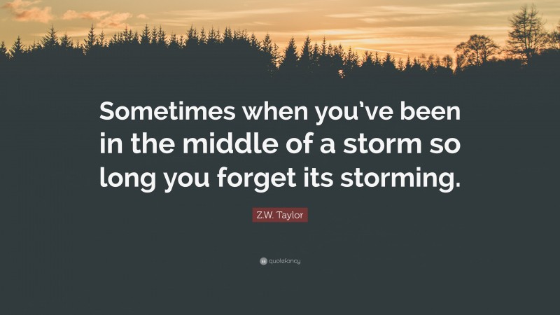 Z.W. Taylor Quote: “Sometimes when you’ve been in the middle of a storm so long you forget its storming.”