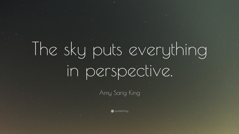 Amy Sarig King Quote: “The sky puts everything in perspective.”