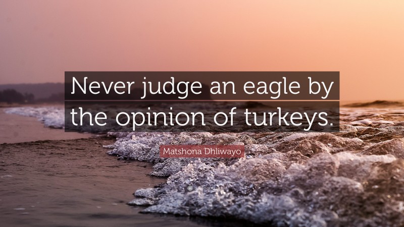 Matshona Dhliwayo Quote: “Never judge an eagle by the opinion of turkeys.”