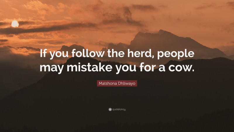 Matshona Dhliwayo Quote: “If you follow the herd, people may mistake you for a cow.”