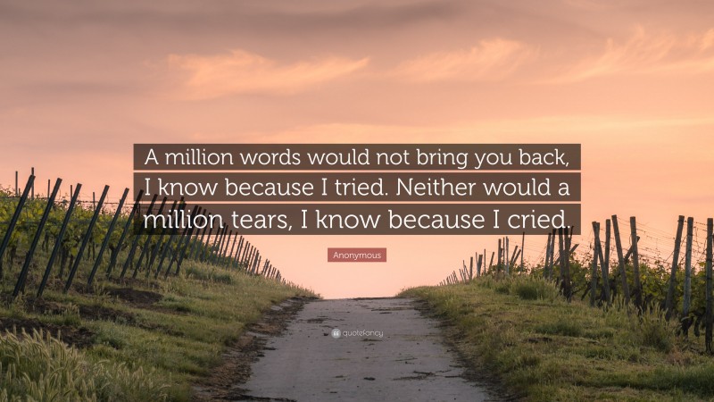 Anonymous Quote: “A million words would not bring you back, I know because I tried. Neither would a million tears, I know because I cried.”