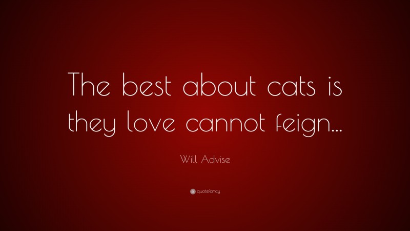 Will Advise Quote: “The best about cats is they love cannot feign...”