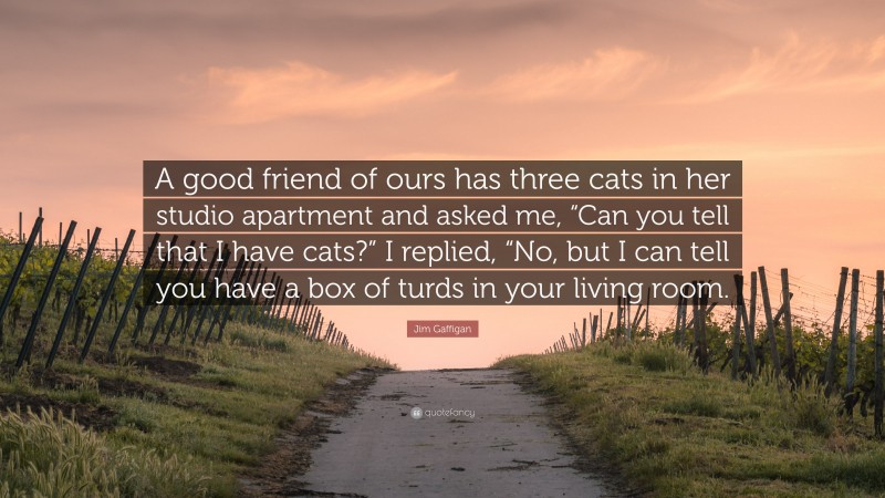 Jim Gaffigan Quote: “A good friend of ours has three cats in her studio apartment and asked me, “Can you tell that I have cats?” I replied, “No, but I can tell you have a box of turds in your living room.”