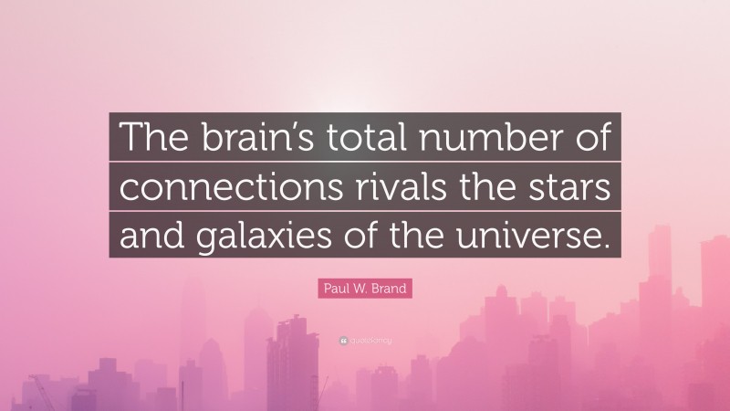 Paul W. Brand Quote: “The brain’s total number of connections rivals the stars and galaxies of the universe.”