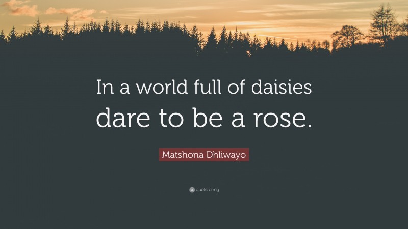 Matshona Dhliwayo Quote: “In a world full of daisies dare to be a rose.”