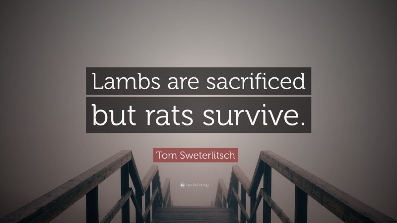 Tom Sweterlitsch Quote: “Lambs are sacrificed but rats survive.”