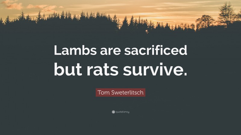 Tom Sweterlitsch Quote: “Lambs are sacrificed but rats survive.”