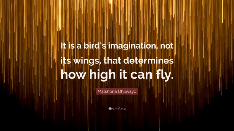 Matshona Dhliwayo Quote: “It is a bird’s imagination, not its wings, that determines how high it can fly.”