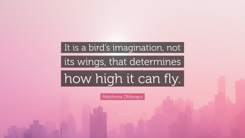 Matshona Dhliwayo Quote: “It is a bird’s imagination, not its wings, that determines how high it can fly.”