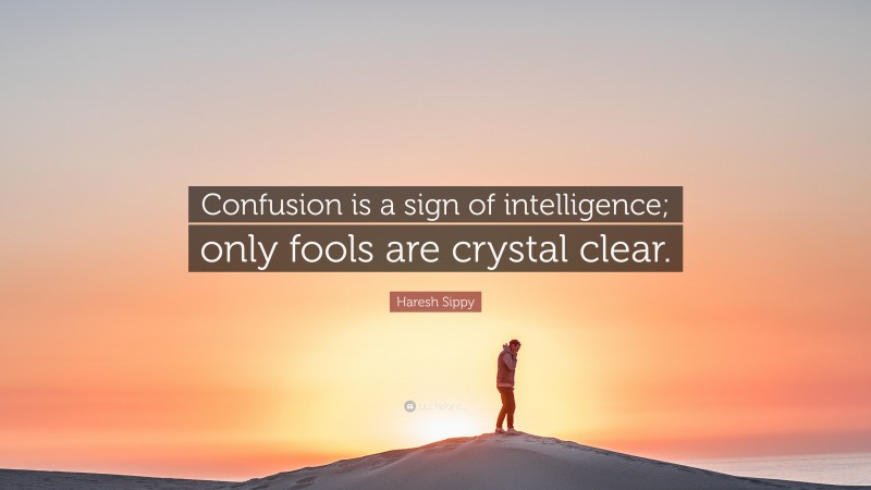 Haresh Sippy Quote: “Confusion is a sign of intelligence; only fools are crystal clear.”