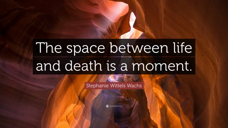 Stephanie Wittels Wachs Quote: “The space between life and death is a moment.”